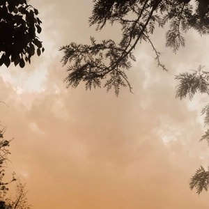 Feel My Bass (DJ版)