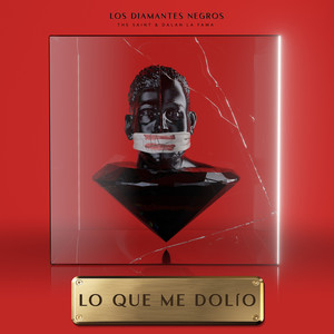 Lo Que Me Dolió - Los Diamantes Negros