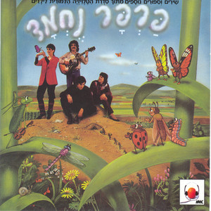 מה בסך הכל?!