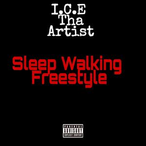 Sleep Walking Freestyle (Explicit)