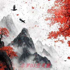 若梦 (DJ空灵鼓)