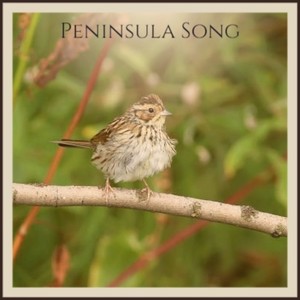 Peninsula Song