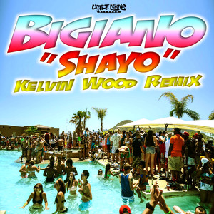 Shayo (Kelvin Wood Remix|Explicit)
