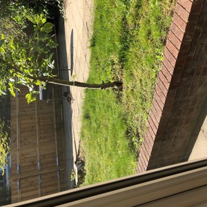 Ben Rap Pt1 (feat. Prod. Trabbey & Prod. RK47 Beats) (Explicit)