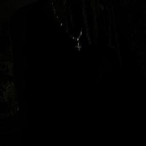 BERSERK (Explicit)