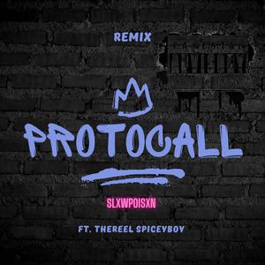 Protocall (TheReel SpiceyBoy Remix) [Explicit]