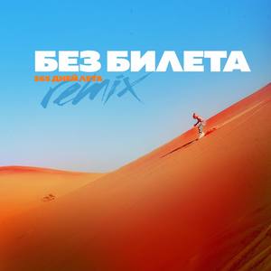 365 дней лета (Remix) [Remix]