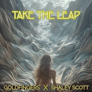 Take The Leap (Craig J. Snider's Instrumental Holy House Mix)