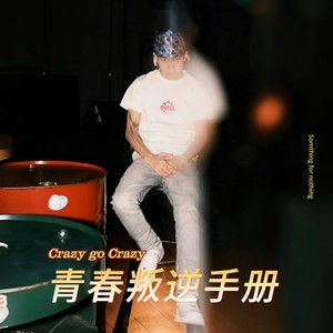 青春叛逆手册-Remix封面