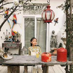 善良的大懒和彩鸟