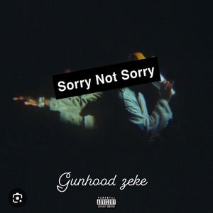 Sorry Not Sorry Veeze remix (Explicit)