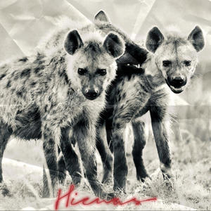 Hienas