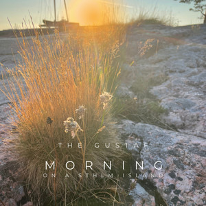 Morning on a STHLM Island