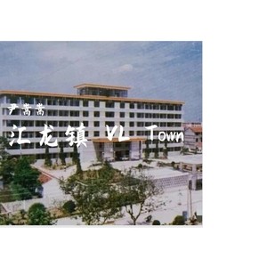 汇龙镇VL Town