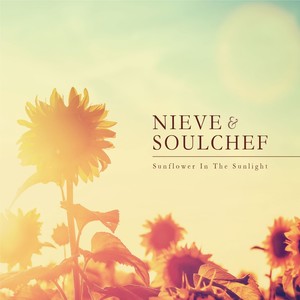 Sunflower in the Sunlight (Explicit)