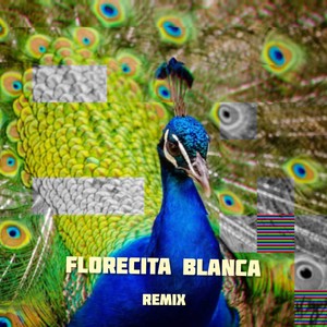 Florecita Blanca (feat. Divittorio & Hummel) [Remix]