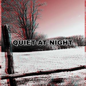 Quiet At Night