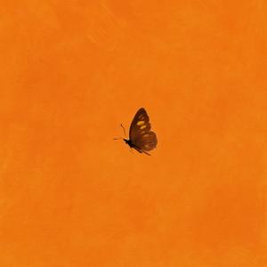 Le physique de Beyoncé (Explicit)