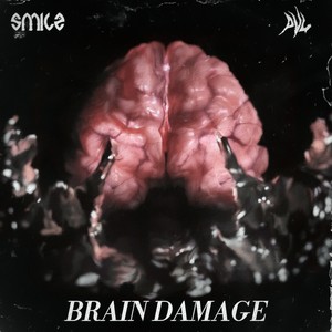 Brain Damage