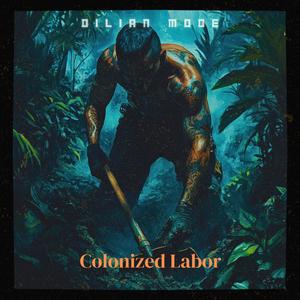 Colonized Labor