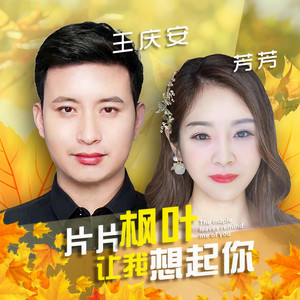 片片枫叶让我想起你