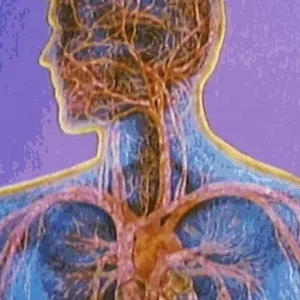 VIOLENCE IS KEY (feat. D Rhythm & {Prod. SoulG & Kinsage) (Explicit)