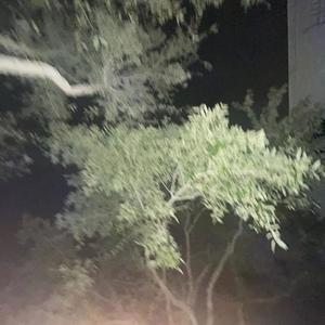 Close Again !(feat. Playboychri3 & Tazimoe) (Explicit)