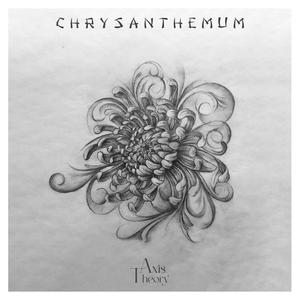 Chrysanthemum