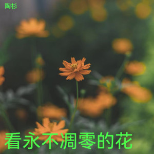 永不凋零的花
