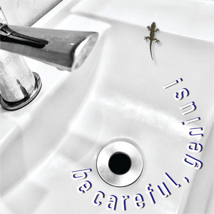 Be Careful, Genius! (Explicit)