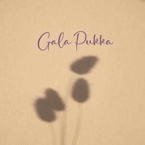 Gala Pukka (feat. Rajesh Thapalia & Johan Debbarma) [Explicit]