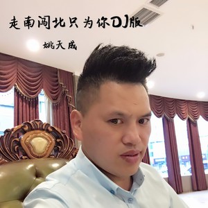 走南闯北只为你 (DJ版)