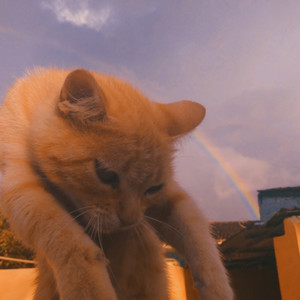 Prismático (Remasterizado)