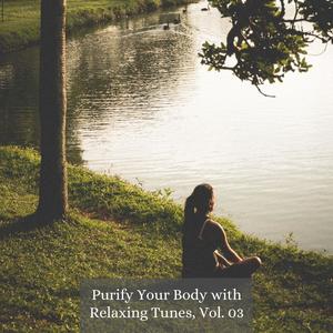 Purify Your Body with Relaxing Tunes, Vol. 03