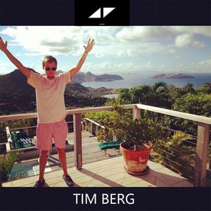 Tim Berg