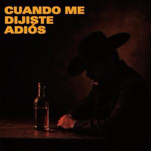 Cuando me dijiste adiós