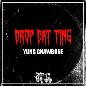 Drop Dat Ting (Explicit)