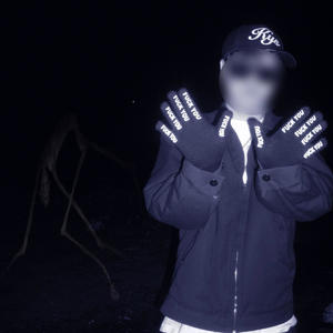 STUPID CRAZY (Explicit)