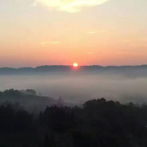 待字闺中 纯乐版