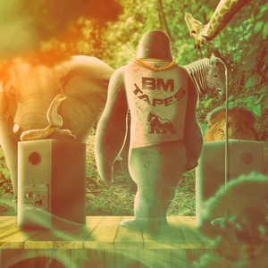 Flashes (feat. Piáthekid & Vcastro) (Explicit)