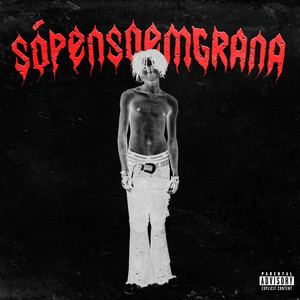 Tem Umas Coisa Que Ce Precisa Entender! (Explicit)