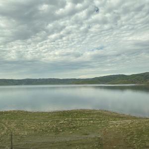 still i cant hate you