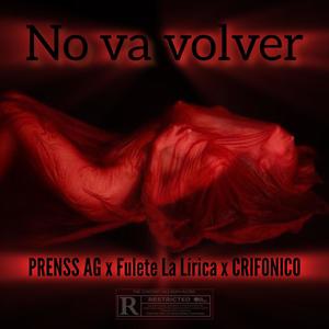 No va volver (feat. Crifonico & Fulete la Lírica)