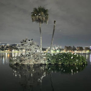 Background (feat. Aiden Hilton) (Explicit)