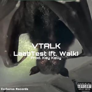 VTalk (Bass Boosted) (feat. WaIk) [Explicit]