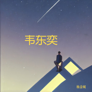 韦东奕