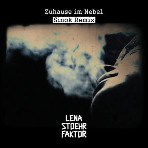 Zuhause im Nebel (Sinok Remix|Explicit)