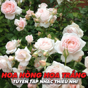 Mỗi ngày con nhận ra