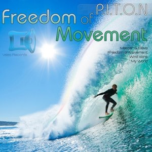 Freedom of Movement