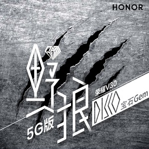 野狼disco (荣耀V30 5G版)封面
